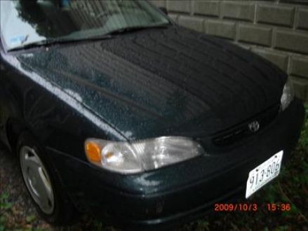 Image 1 of 1999 Corolla CE Green